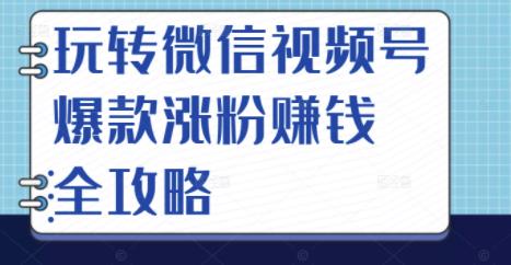 玩转微信视频号爆款涨粉赚钱全攻略,让你快速抓住流量风口,收获红利财富-第一资源库
