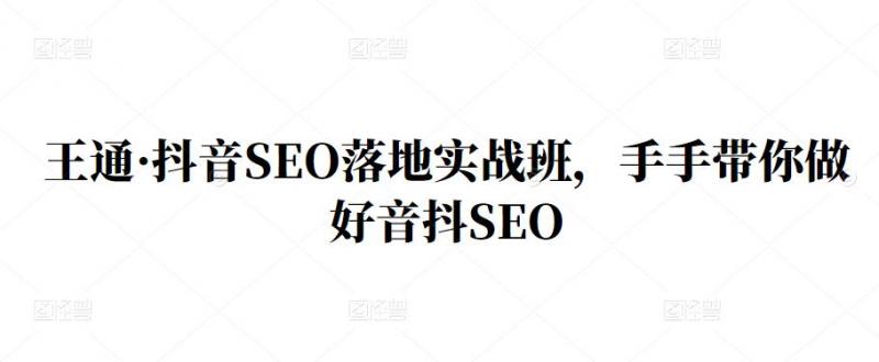 王通·抖音SEO落地实战班,手手带你做好音抖SEO-第一资源库