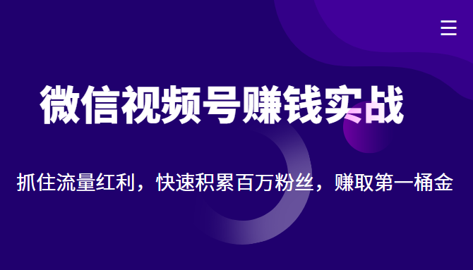 微信视频号赚钱实战:抓住流量红利,快速积累百万粉丝,赚取你的第一桶金-第一资源库