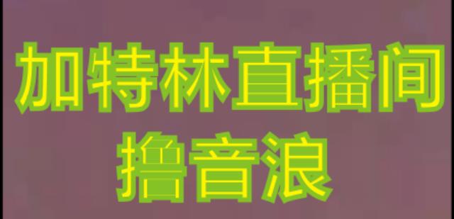 抖音加特林直播间搭建技术,抖音0粉开播,暴力撸音浪,2023新口子,每天800+【素材+详细教程】-第一资源库