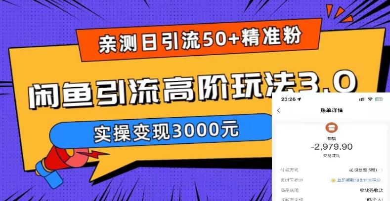 亲测日引50+精准粉,闲鱼引流高阶玩法3.0,实操变现3000元【揭秘】-第一资源库