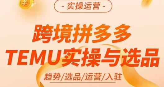 伍跃·跨境拼多多TEMU实操与选品,趋势/选品/运营/入住(27节完整)-第一资源库