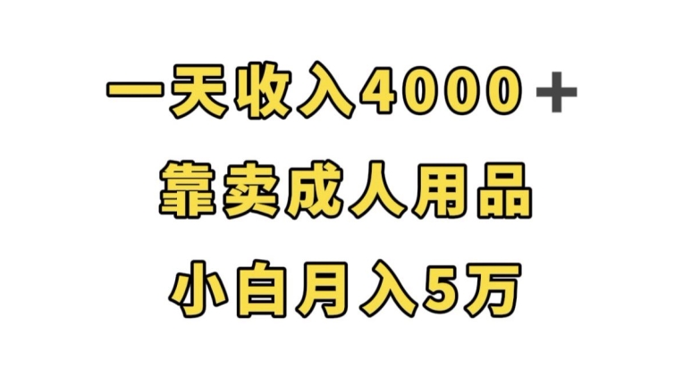 一天收入4000+,靠卖成人用品,小白轻松月入5万【揭秘】-第一资源库