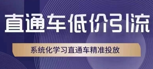 直通车低价引流课,系统化学习直通车精准投放-第一资源库