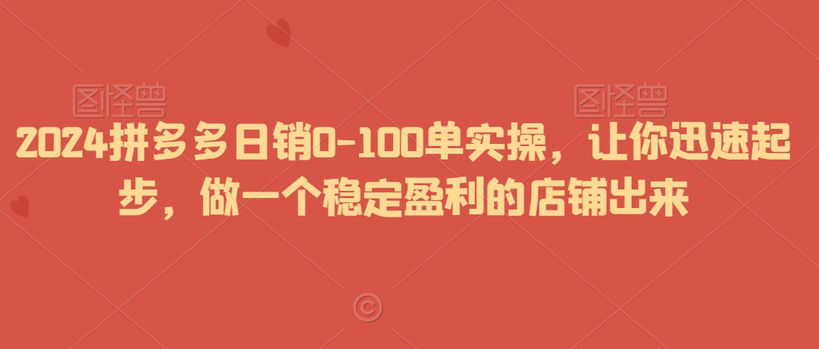 2024拼多多日销0-100单实操,让你迅速起步,做一个稳定盈利的店铺出来-第一资源库