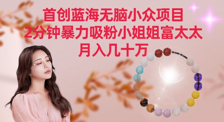 首创蓝海无脑小众项目,2分钟暴力吸粉小姐姐富太太,月入几十万【揭秘】-第一资源库