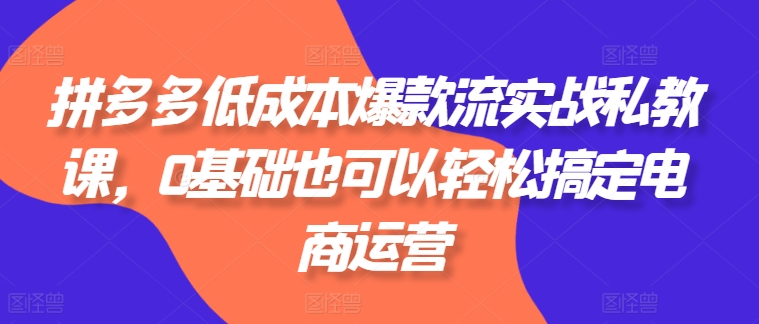 拼多多低成本爆款流实战私教课,0基础也可以轻松搞定电商运营-第一资源库