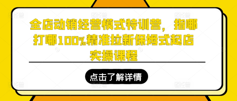 全店动销经营模式特训营，指哪打哪100%精准拉新保姆式起店实操课程-第一资源库