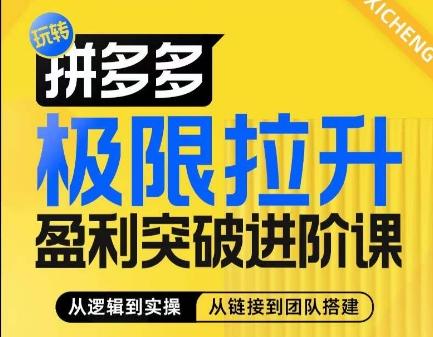 拼多多极限拉升盈利突破进阶课,从算法到玩法,从玩法到团队搭建,体系化系统性帮助商家实现利润提升-第一资源库