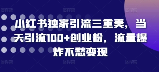 小红书独家引流三重奏,当天引流100+创业粉,流量爆炸不愁变现【揭秘】-第一资源库