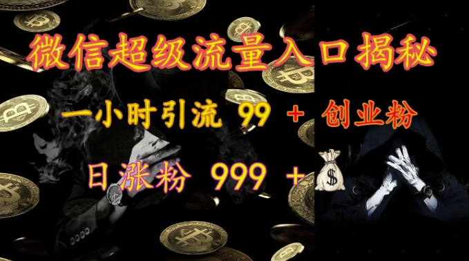 微信超级流量入口揭秘：一小时引流 99 + 创业粉，日涨粉 999 +-第一资源库