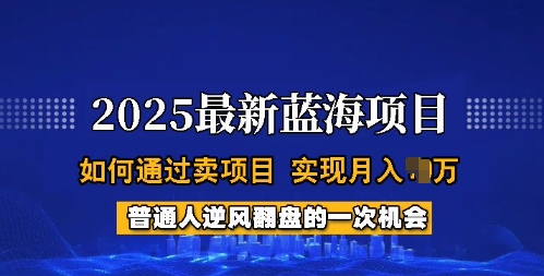 2025蓝海项目，普通人如何通过卖项目，实现月入过W，全过程【揭秘】-第一资源库