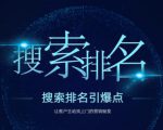 搜索排名引爆点:教你快速掌握各个搜索引擎排名算法,让客户主动找上你的秘笈-第一资源库