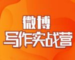 村西边老王·微博超级写作实战营，帮助你粉丝猛涨价值999元-第一资源库
