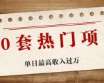 30套热门项目:单日最高收入过万 (网赚项目、朋友圈、涨粉套路、抖音、快手)等-第一资源库