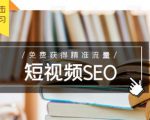 未来新趋势,布局短视频SEO,如何利用抖音SEO免费获得精准流量(3节课)-第一资源库