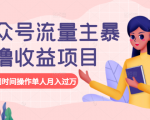 公众号流量主暴利撸收益项目,空闲时间操作单人月入过万-第一资源库