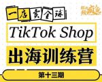 TikTokShop出海训练营(第十三期),打开全球流量新思维,出海抢占全球新流量,一店卖全球-第一资源库