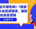 大圣淘宝天猫电商1-7层级盈利增长底层逻辑课,爆款的底层逻辑-第一资源库