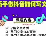 新手做抖音如何写文案,手把手实操如何拆解热门文案-第一资源库