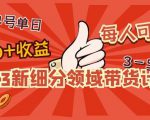 2023新细分领域带货计划：单号单日1000+收益不难，每人可操作3-5个账号-第一资源库