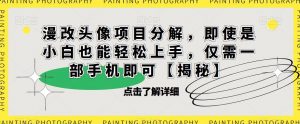 漫改头像项目分解，即使是小白也能轻松上手，仅需一部手机即可【揭秘】-第一资源库