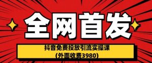 全网首发:抖音免费投放引流实操课(外面收费3980)【揭秘】-第一资源库