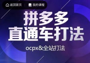 互力·拼多多直通车打法,ocpx&全站打法-第一资源库