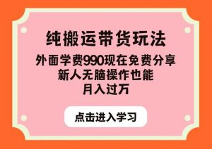 纯搬运带货玩法，外面学费990现在免费分享，新人无脑操作也能月入过万【揭秘】-第一资源库