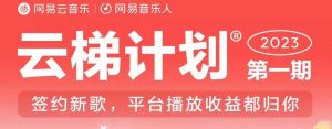 2023年8月份网易云最新独家挂机技术,真正实现挂机月入5000【揭秘】-第一资源库