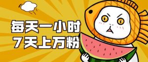 暴力涨粉项目:每天一小时,七天上万粉【揭秘】-第一资源库