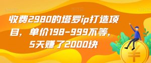 收费2980的塔罗ip打造项目,单价198-999不等,5天赚了2000块【揭秘】-第一资源库