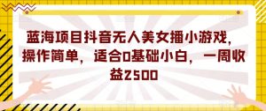 蓝海项目抖音无人美女播小游戏，操作简单，适合0基础小白，一周收益2500【揭秘】-第一资源库