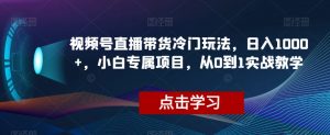 视频号直播带货冷门玩法，日入1000+，小白专属项目，从0到1实战教学【揭秘】-第一资源库
