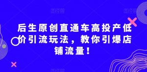 后生原创直通车高投产低价引流玩法,教你引爆店铺流量!-第一资源库