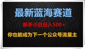 最新蓝海赛道，新手小白日入500+，你也能成为下一个公众号流量主【揭秘】-第一资源库