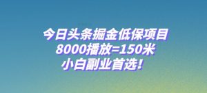 今日头条掘金低保项目,8000播放=150米,小白副业首选【揭秘】-第一资源库