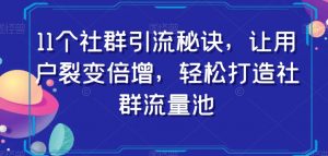 11个社群引流秘诀，让用户裂变倍增，轻松打造社群流量池-第一资源库