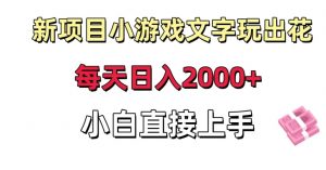 新项目小游戏文字玩出花日入2000+，每天只需一小时，小白直接上手【揭秘】-第一资源库
