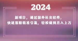 2024新项目,通过国外社交软件,快速涨粉精准引流,轻松做到月入上万【揭秘】-第一资源库