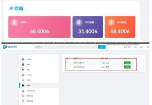 外面收费12000的playtube撸美金项目,单日收益30美金+工作室可批量搞【揭秘】-第一资源库