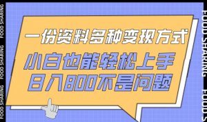 一份资料多种变现方式,小白也能轻松上手,日入800不是问题【揭秘】-第一资源库