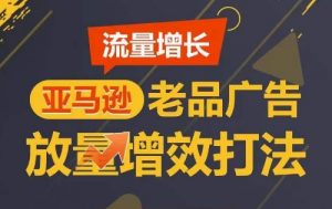 流量增长 亚马逊老品广告放量增效打法,短期内广告销量翻倍-第一资源库