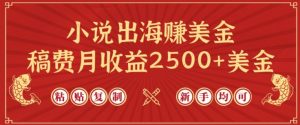 小说出海赚美金,稿费月收益2500+美金,仅需chatgpt粘贴复制,新手也能玩转【揭秘】-第一资源库