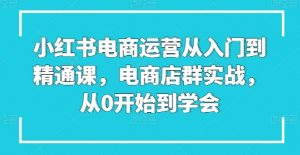 小红书电商运营从入门到精通课，电商店群实战，从0开始到学会-第一资源库