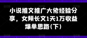 小说推文推广大佬经验分享,女频长文1天1万收益爆单思路(下)-第一资源库