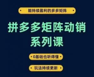拼多多矩阵动销系列课,能持续盈利的多多矩阵,0基础也听得懂,玩法持续更新-第一资源库