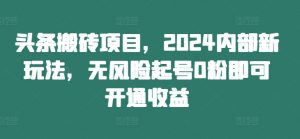 头条搬砖项目,2024内部新玩法,无风险起号0粉即可开通收益-第一资源库