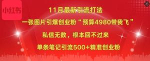 小红书11月最新图片打粉，一张图片引爆创业粉，“预算4980带我飞”，单条引流500+精准创业粉-第一资源库