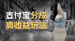 支付宝分成计划新玩法,利用交通事故视频,赚收益,轻松月入过W,操作简单【揭秘】-第一资源库